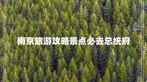 南京旅游攻略景點(diǎn)必去總統府