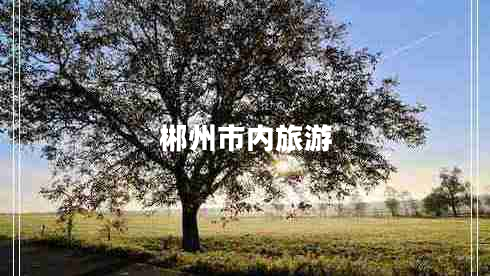 郴州市內旅游