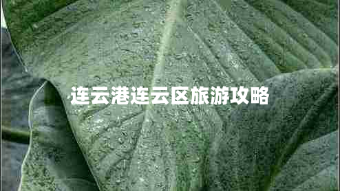 連云港連云區旅游攻略