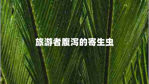 旅游者腹瀉的寄生蟲(chóng)