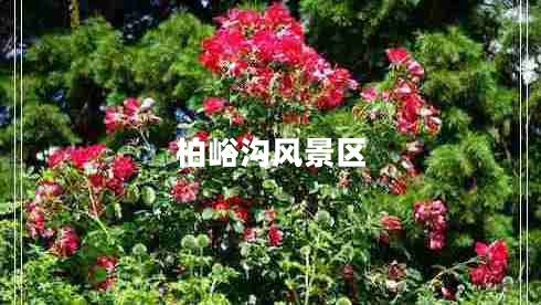 柏峪溝風(fēng)景區