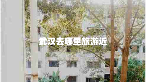 武漢去哪里旅游近