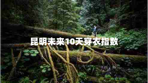 昆明未來(lái)10天穿衣指數