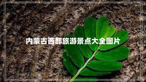 內蒙古西部旅游景點(diǎn)大全圖片