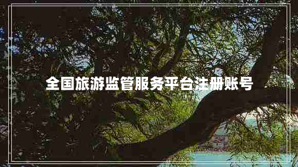 全國旅游監管服務(wù)平臺注冊賬號