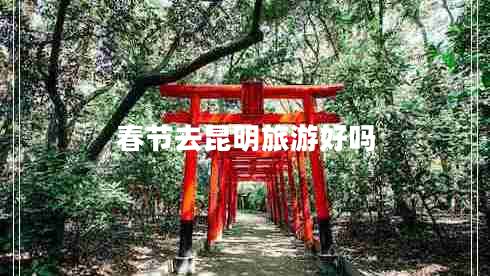春節去昆明旅游好嗎