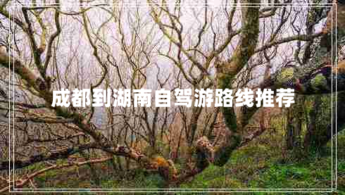 成都到湖南自駕游路線(xiàn)推薦