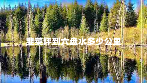 韭菜坪到六盤(pán)水多少公里