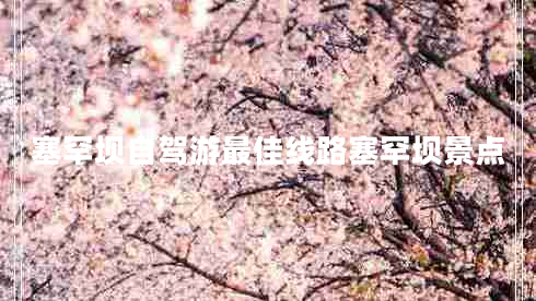 塞罕壩自駕游最佳線(xiàn)路塞罕壩景點(diǎn)