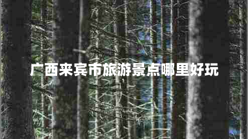 廣西來(lái)賓市旅游景點(diǎn)哪里好玩