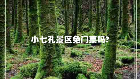 小七孔景區免門(mén)票嗎?