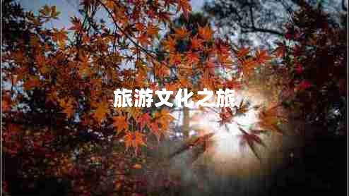 旅游文化之旅