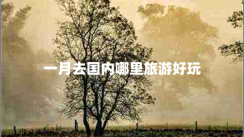 一月去國內哪里旅游好玩