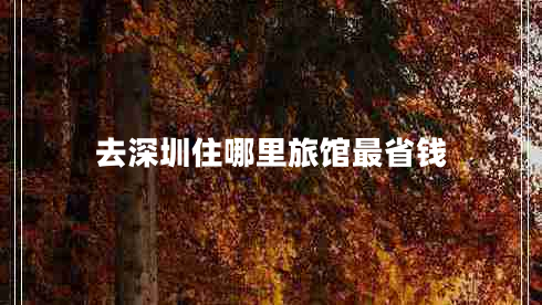 去深圳住哪里旅館最省錢(qián)