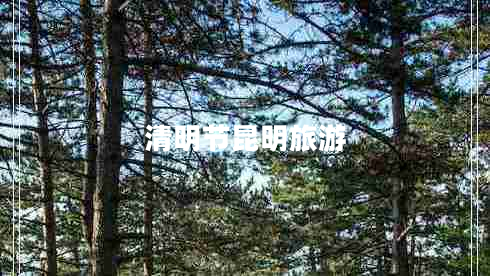 清明節昆明旅游
