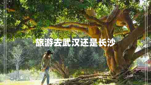 旅游去武漢還是長(cháng)沙