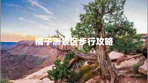 橘子洲景區步行攻略