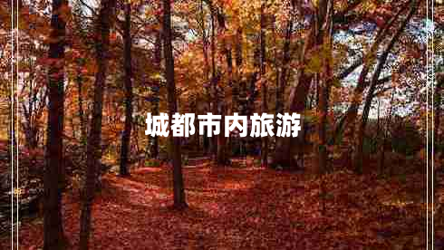 城都市內旅游