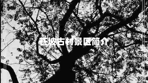 蒼坡古村景區簡(jiǎn)介