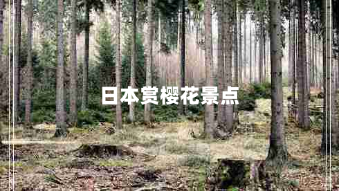 日本賞櫻花景點(diǎn)