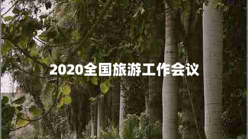 2020全國旅游工作會(huì )議