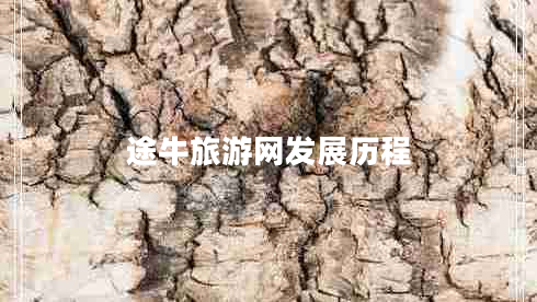 途牛旅游網(wǎng)發(fā)展歷程