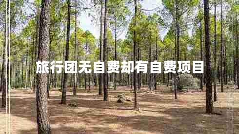 旅行團無(wú)自費卻有自費項目