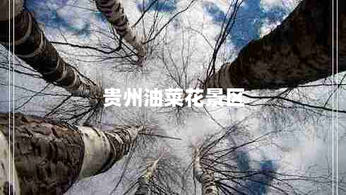 貴州油菜花景區