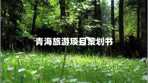 青海旅游項目策劃書(shū)
