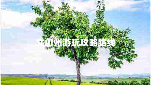 文山州游玩攻略路線(xiàn)