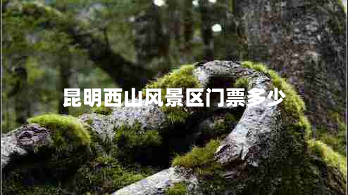 昆明西山風(fēng)景區門(mén)票多少