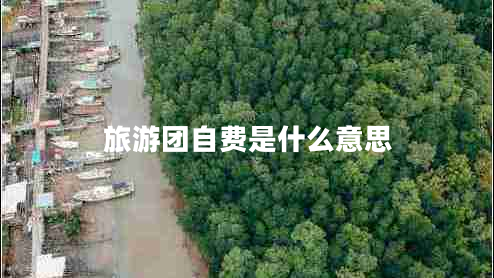 旅游團自費是什么意思