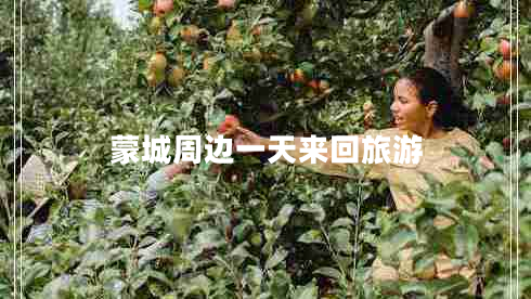蒙城周邊一天來(lái)回旅游