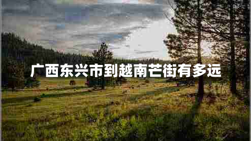 廣西東興市到越南芒街有多遠
