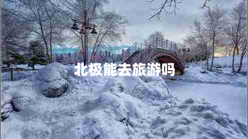 北極能去旅游嗎