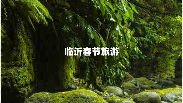 臨沂春節旅游