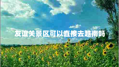 友誼關(guān)景區可以直接去越南嗎