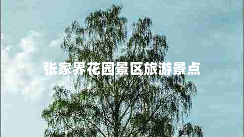 張家界花園景區旅游景點(diǎn)