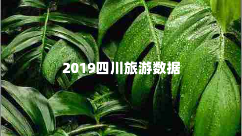 2019四川旅游數據