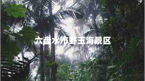 六盤(pán)水市野玉海景區