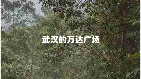 武漢的萬(wàn)達廣場(chǎng)