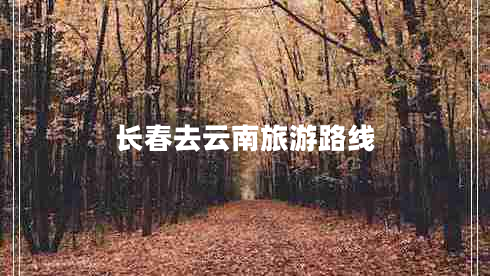 長(cháng)春去云南旅游路線(xiàn)