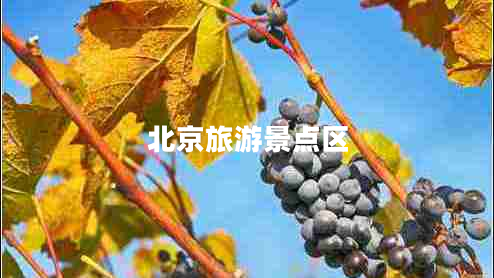 北京旅游景點(diǎn)區