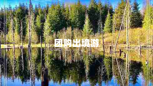 團購出境游