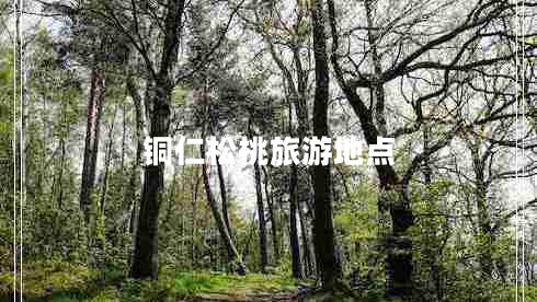 銅仁松桃旅游地點(diǎn)