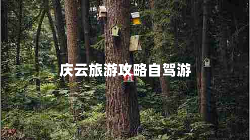 慶云旅游攻略自駕游