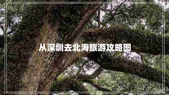 從深圳去北海旅游攻略圖