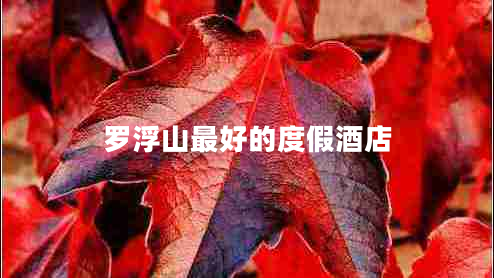 羅浮山最好的度假酒店