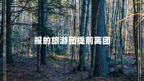 報的旅游團提前離團