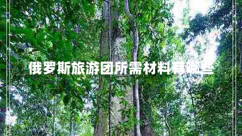 俄羅斯旅游團所需材料有哪些